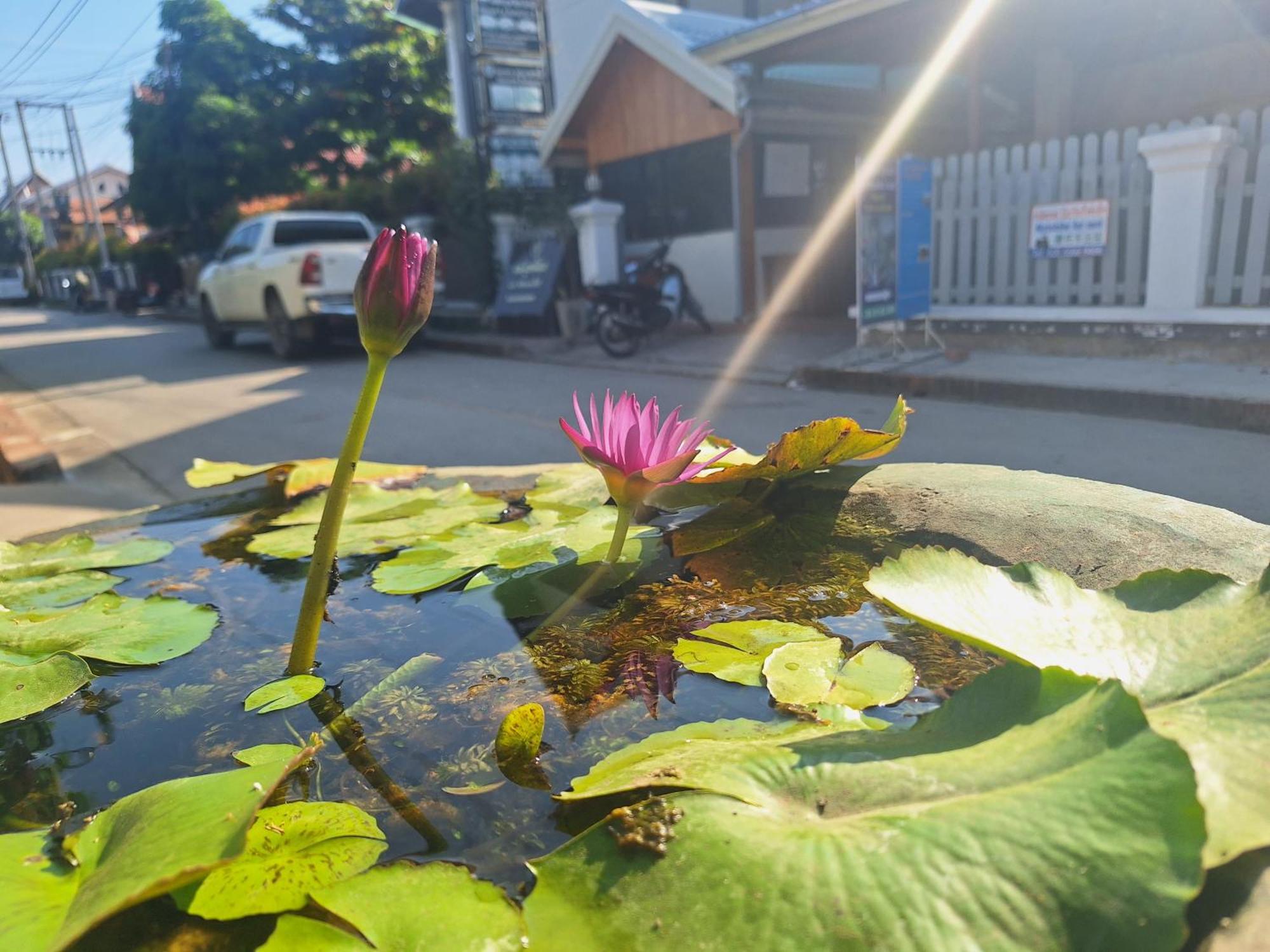 Villa Khounsok Sunset Luang Prabang Extérieur photo